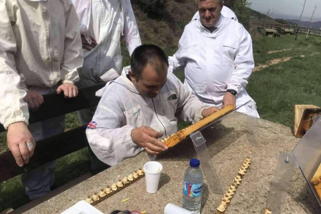 Cursos Apicultura y su enfoque en el criadero de abejas reinas - 1, Foto 1