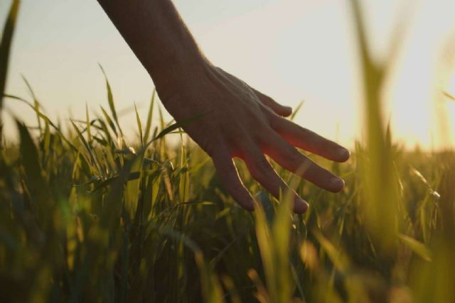 Aliados en crear experiencias a través de los sentidos, la consultoría turística de Animatium - 1, Foto 1