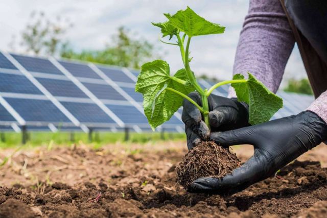 La sostenibilidad y las energías renovables en Aragón cuentan con el apoyo de PVAI - 1, Foto 1