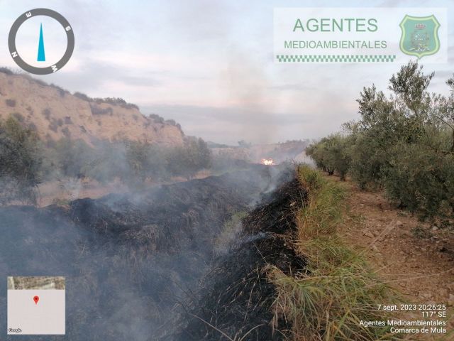 Controlado el conato de incendio forestal declarado en el paraje La Herreña, Mula - 1, Foto 1
