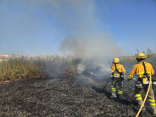 Incendio de cañas y matorral en Ceutí - 1, Foto 1