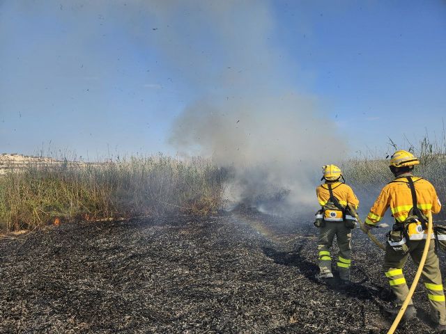 Incendio de cañas y matorral en Ceutí - 1, Foto 1