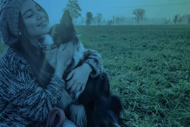 Vet Formación brinda formación en etología canina - 1, Foto 1