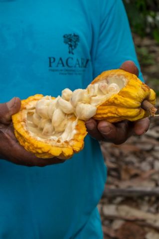 Paccari aúna más de 400 premios que reconocen su calidad y labor social - 1, Foto 1