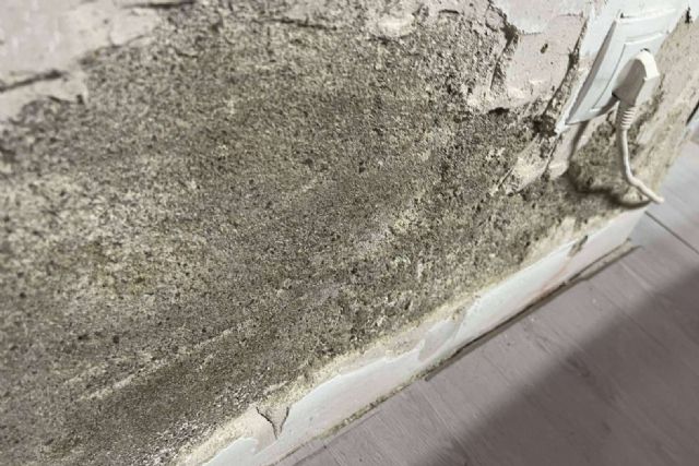 ¿Cómo quitar la humedad de la pared? Preactiva - 1, Foto 1