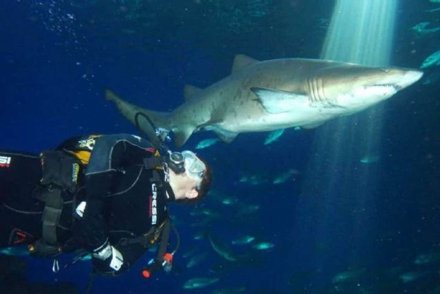 Palma Aquarium, actividades y experiencias que no pueden faltar - 1, Foto 1