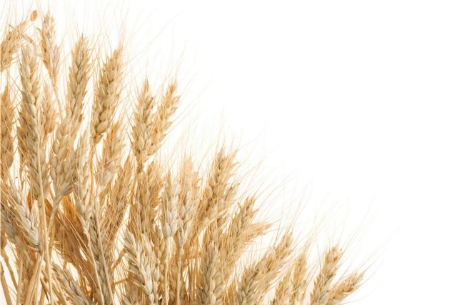 FITstore dispone de harina de avena de sabores - 1, Foto 1