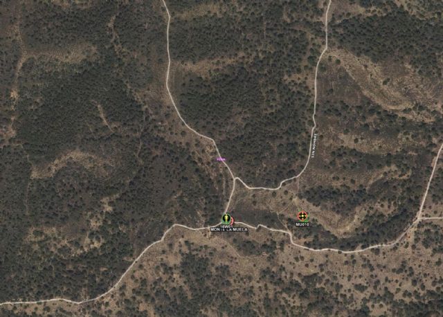 Rescatan a un senderista lesionado en el Monte de la Muela, Cartagena - 1, Foto 1