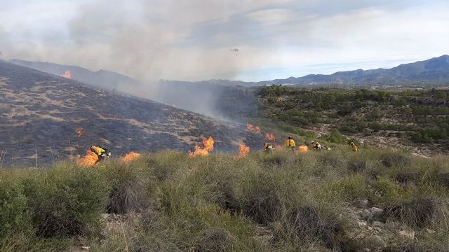Efectivos adscritos al Plan Infomur trabajan en la extinción del incendio forestal declarado en Román, pedanía de Jumilla - 1, Foto 1