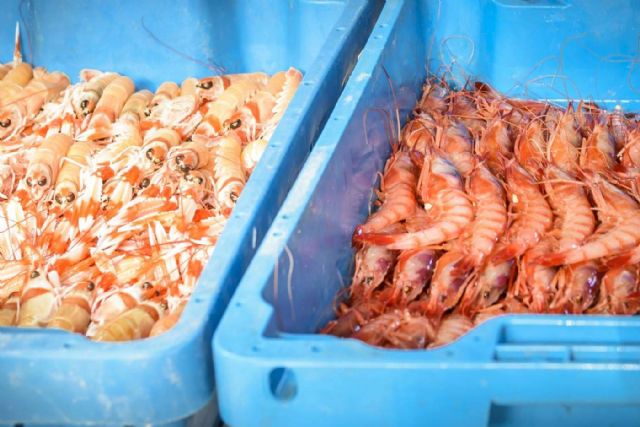 ¿Cómo mantener el marisco fresco?, Lonja de Ayamonte - 1, Foto 1