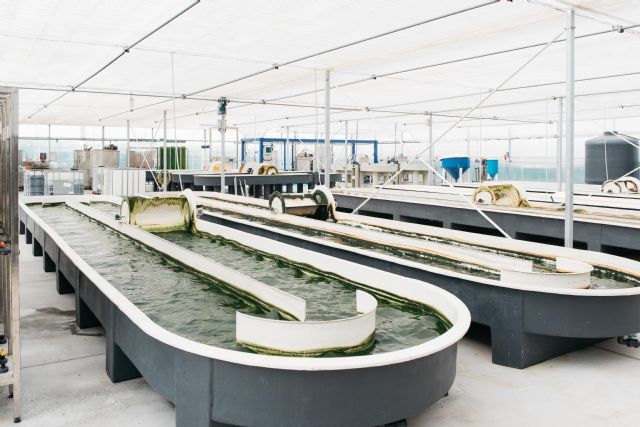 Neoalgae, Premio Radar a la Innovación Emprendedora por la Consejería de Ciencia de Asturias - 1, Foto 1