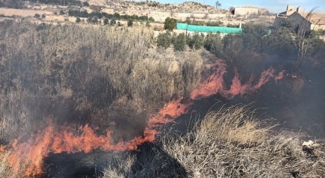 Incendio de cañas y matorral en la Rambla del Judío, Jumilla - 1, Foto 1