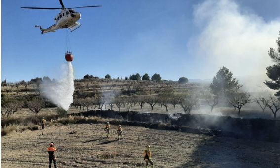 Servicios de emergencia extinguen incendio forestal en Bullas - 1, Foto 1