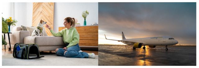 Vueling, primera aerolínea europea en incluir snacks para perros en su nuevo menú - 1, Foto 1