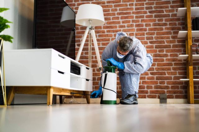 Expertos en desinfección y control de plagas en madera, con Quipons - 1, Foto 1