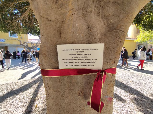 El Instituto Prado Mayor de Totana celebra su Semana Cultural - 11