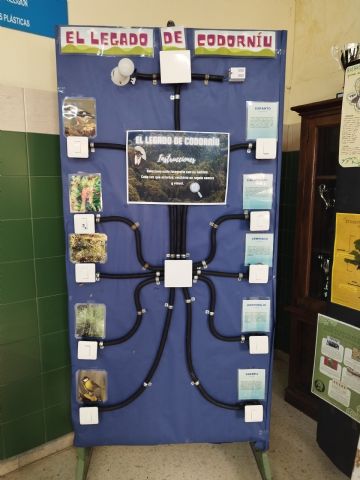 El Instituto Prado Mayor de Totana celebra su Semana Cultural - 18