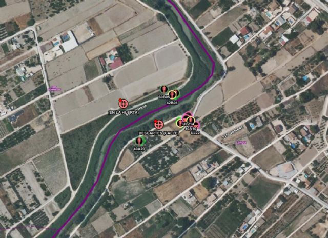 Incendios forestales en la Región de Murcia, en los márgenes del río Segura, en Ceutí y Lorquí - 1, Foto 1