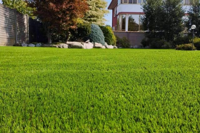 La variedad de modelos de césped artificial de procedencia 100 % española de Albergrass - 1, Foto 1