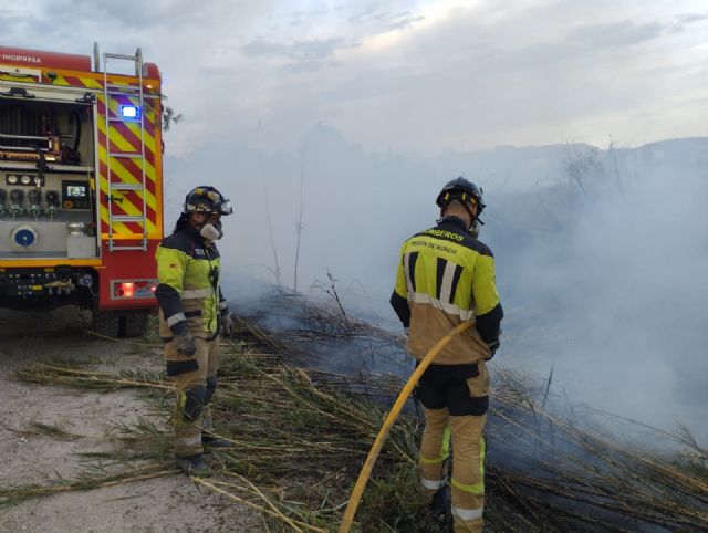 Servicios de emergencias extinguen un incendio de cañas y matorral en Torrealta, pedanía de Molina de Segura - 1, Foto 1