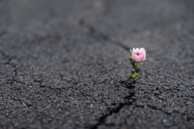 Las psicólogas del centro BANGARDIA PSICOLOGÍA APLICADA ayudan a entender la resiliencia psicología - 1, Foto 1