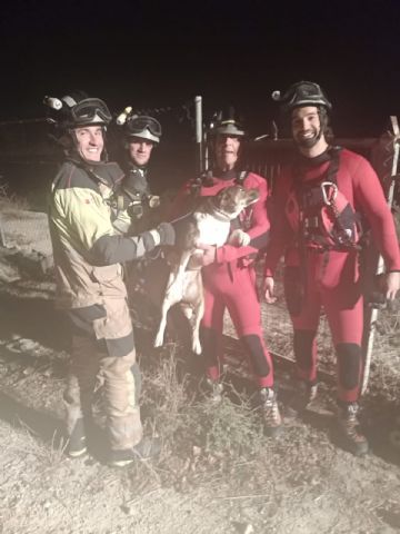 Servicios de emergencia rescatan a un animal que había caído en una balsa en Lorquí - 1, Foto 1