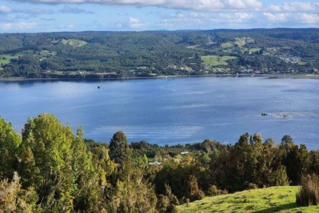 Azul Canelo, el proyecto de Latitudes Australes para invertir en una parcela y descubrir la belleza de Chiloé - 1, Foto 1