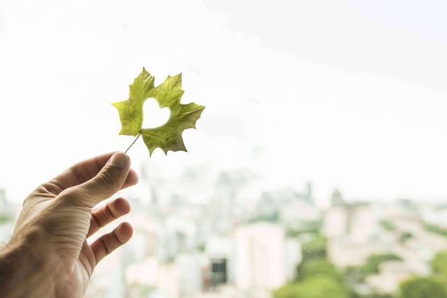 Grupo Jumadi lidera la revolución verde en higiene profesional con sus productos concentrados - 1, Foto 1
