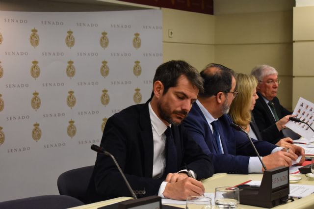 El ministro de Cultura apuesta en el Senado por la cultura como un eje de vertebración territorial y de cohesión social - 1, Foto 1