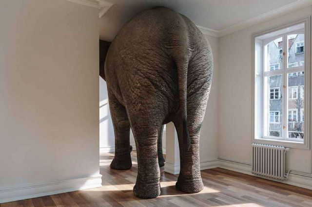 My Business, el elefante en la habitación de los equipos de marketing - 1, Foto 1