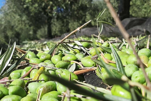 El escaparate digital de productores locales gourmet, Método 403 - 1, Foto 1