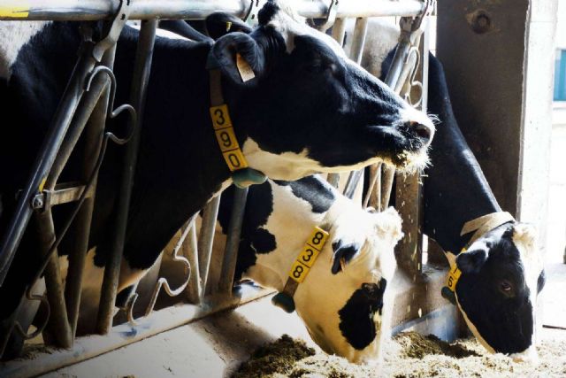 Ucoga, expertos con experiencia, liderazgo y calidad de gestión en seguros agrarios - 1, Foto 1