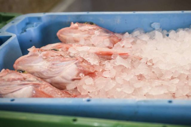 Marisco de Huelva directo a la mesa, en 24 horas y sin intermediarios de la mano de Lonja de Ayamonte - 1, Foto 1