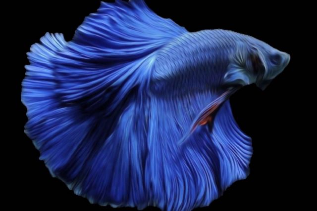 ACUAMATTIC, revolucionando la acuariofilia con un impacto ecológico positivo - 1, Foto 1