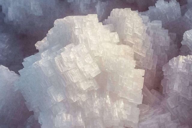 Las salinas de Santa Pola producen una sal marina que cuenta con sello ecológico y es ejemplo de sostenibilidad - 1, Foto 1