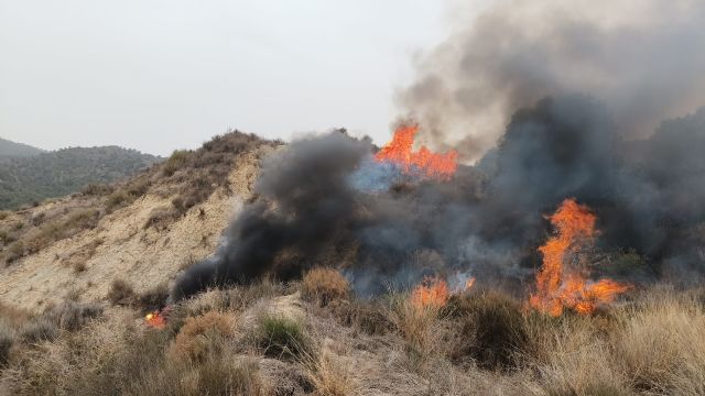Efectivos del Plan Infomur combaten un incendio forestal en Lorca - 1, Foto 1