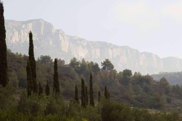 Disfrutar de la ´experiencia Terra´ en el outdoor spa Les Oliveres del Hotel Terra Dominicata - 1, Foto 1