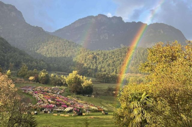 Niudàlia es un refugio ideal para los amantes de la naturaleza y las flores - 1, Foto 1