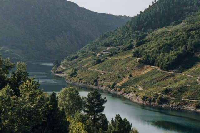 Presentación GRANDES VINOS DE GALICIA en Madrid - 1, Foto 1