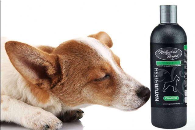Magistral Royal presenta Natur Fresh; el champú natural repelente para perros y gatos - 1, Foto 1