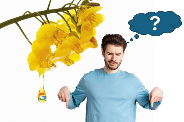 Caerá el tráfico de Google en 2026. La predicción de Gartner - 1, Foto 1