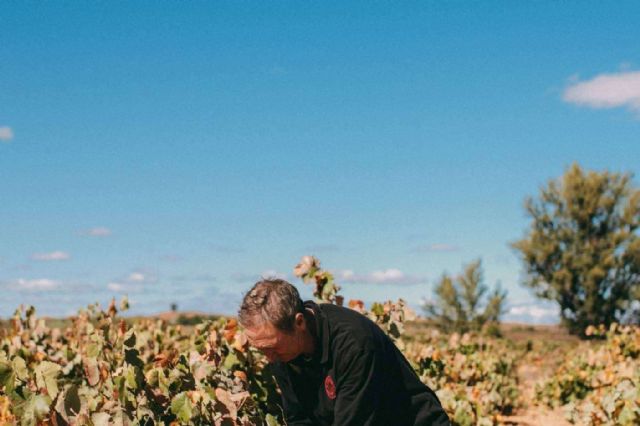 Historia y sostenibilidad en la producción de vino de la mano de Bodegas Vegalfaro - 1, Foto 1