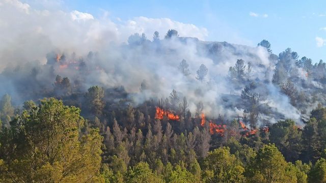 Conato de incendio forestal en la Sierra de San Miguel, en Calasparra - 1, Foto 1