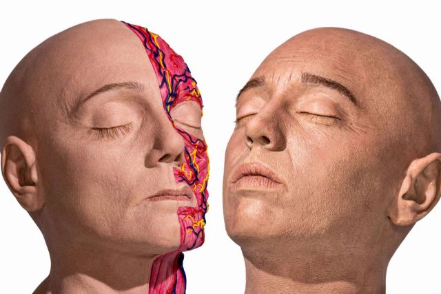 REALMED SIMULATORS, la compañía que está revolucionando la formación en medicina estética - 1, Foto 1