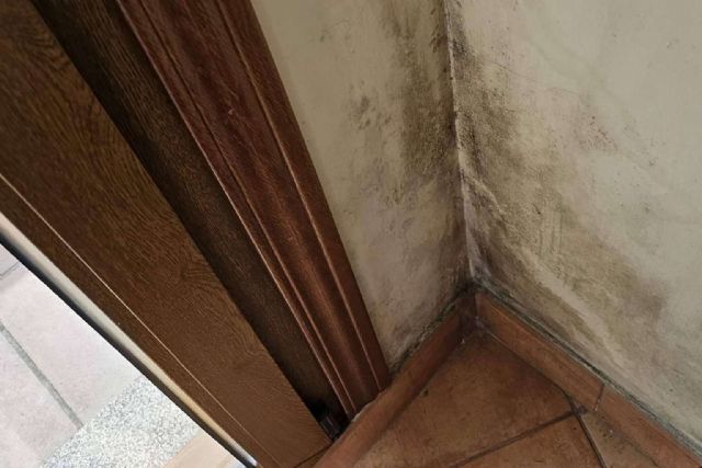 Beneficios de la reparación de humedades en verano - 1, Foto 1