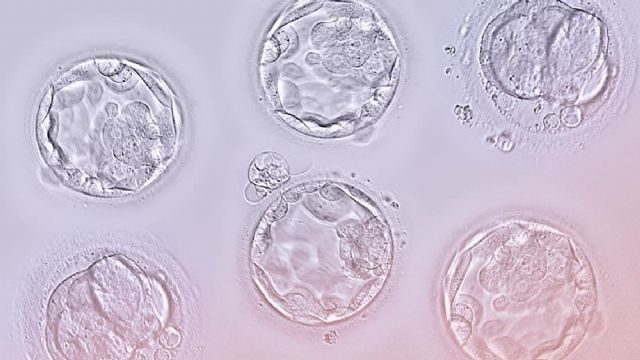 Aspectos socioeconómicos, culturales, educativos y sanitarios, tras el retraso para formar una familia - 1, Foto 1