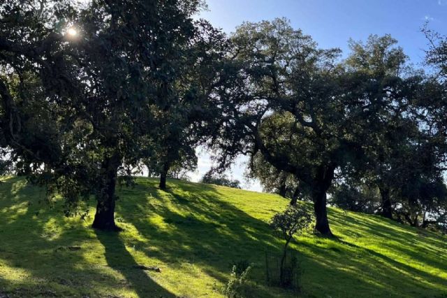 Finca Roncales, calidad garantizada en todos sus productos ibéricos - 1, Foto 1