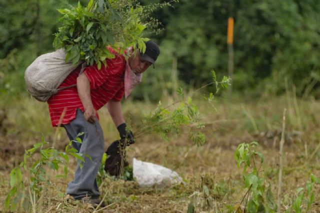 Haaus® Coliving se posiciona como una de las empresas de coliving más sostenibles del sector - 1, Foto 1