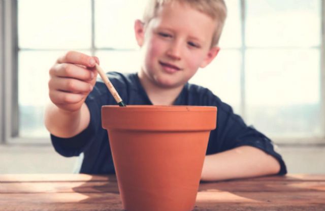 SproutWorld propone pequeños cambios con grandes impactos: Inspiración para una sociedad más ecológica - 1, Foto 1
