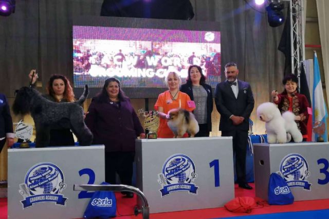 El Campeonato Europeo de Peluquería Canina 2024 se celebra en la Región de Murcia - 1, Foto 1